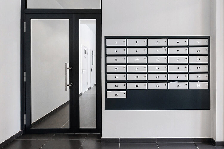 Roto Solid B | 224 A silver in a main entrance door